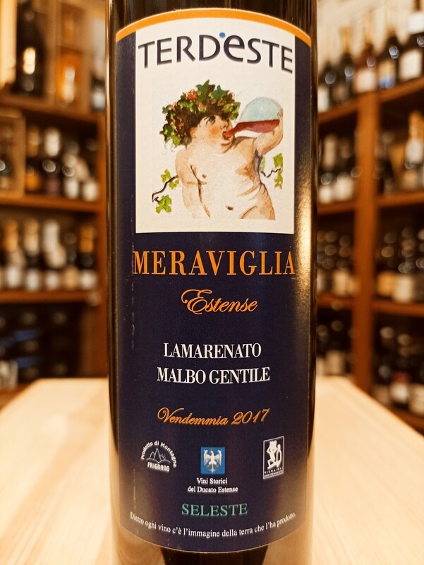 Terre d'Este I.g.t. Amarenato di Malbo Gentile - 0,375L - 11,5% Vol.