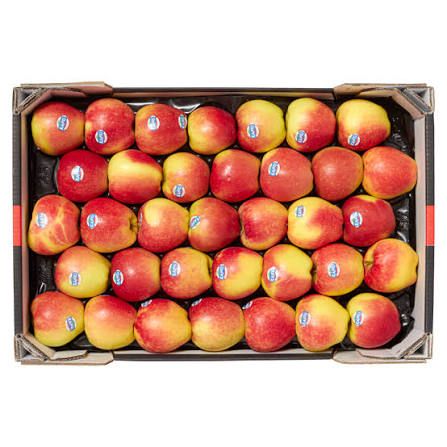 Kanzi DOOS 6.5 KG