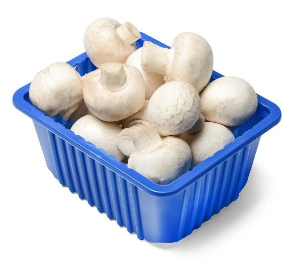  Champignon Bakje