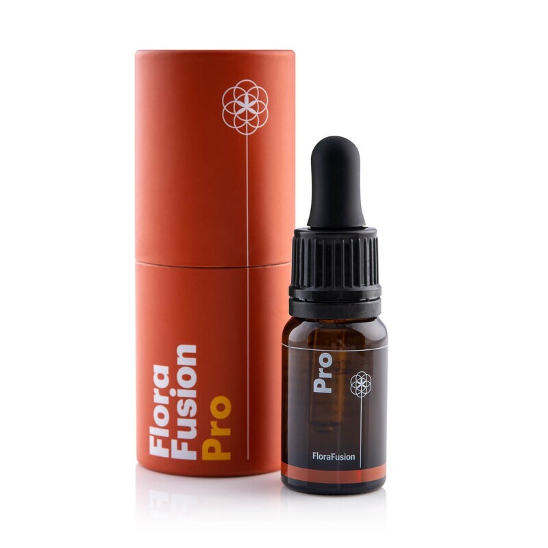 Pro (10ml) - 500mg of CBD - CBD MCT Oil Pro (10ml) - 500mg of CBD - CBD MCT Oil