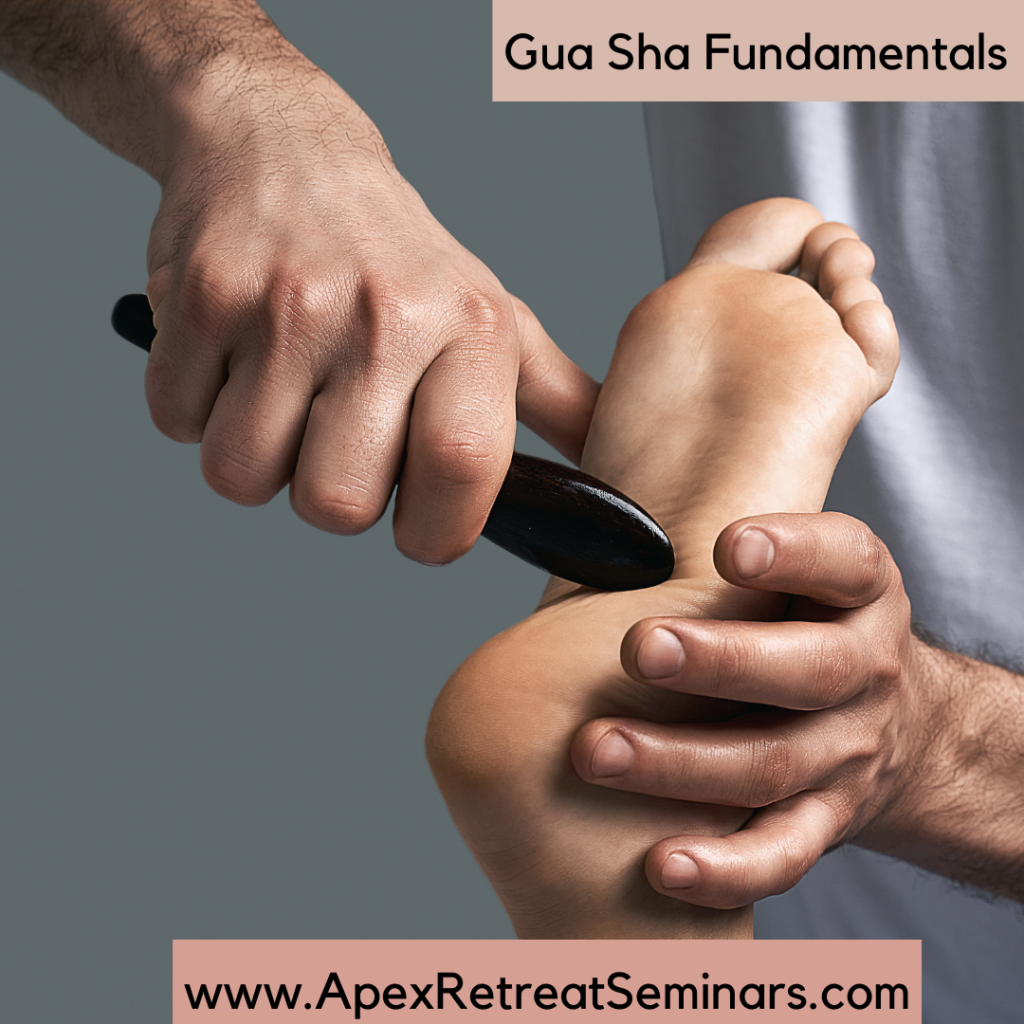 Gua Sha Fundamentals (For the Body)