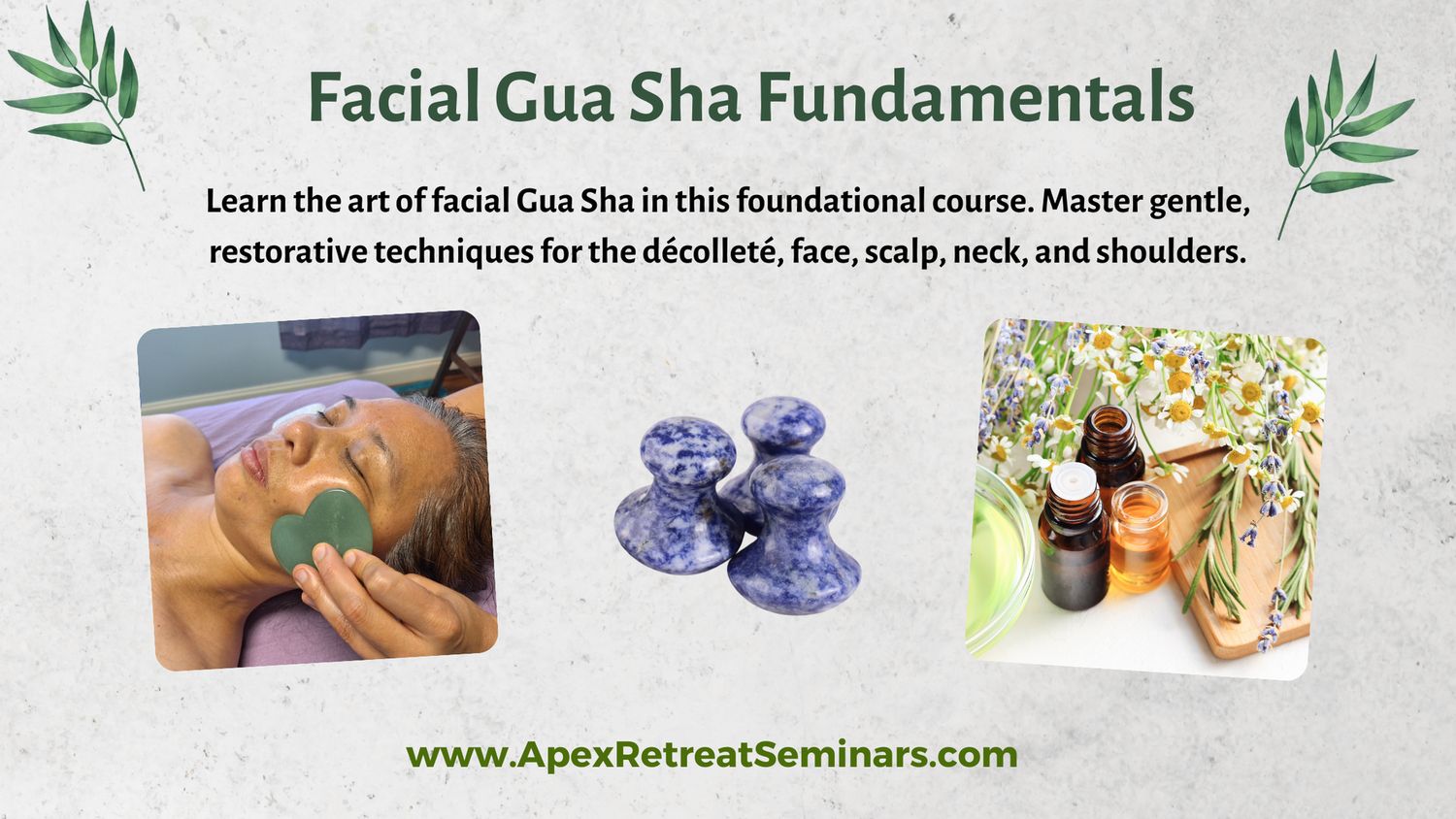 Facial Gua Sha Fundamentals