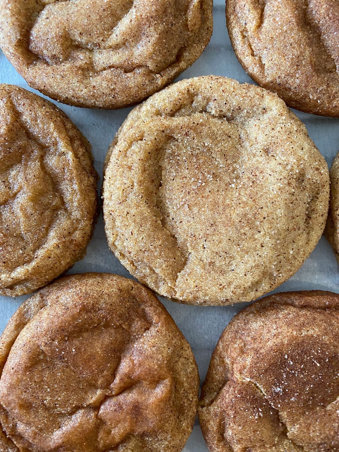 Snickerdoodle cookie (QTY 6)
