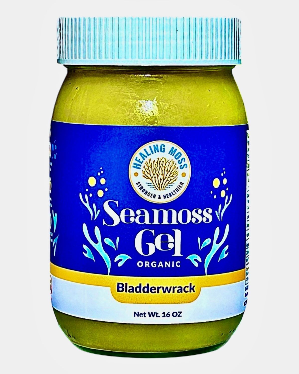 Sea Moss Gel BLADDERWRACK 16 oz