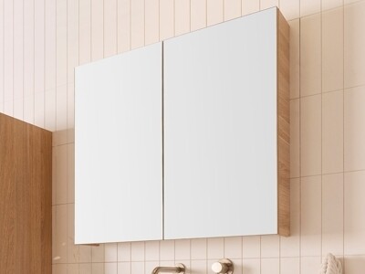 Mirror Cabinets