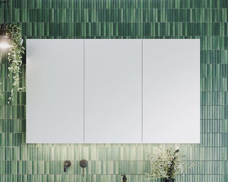 Tennessee Shaving Cabinet