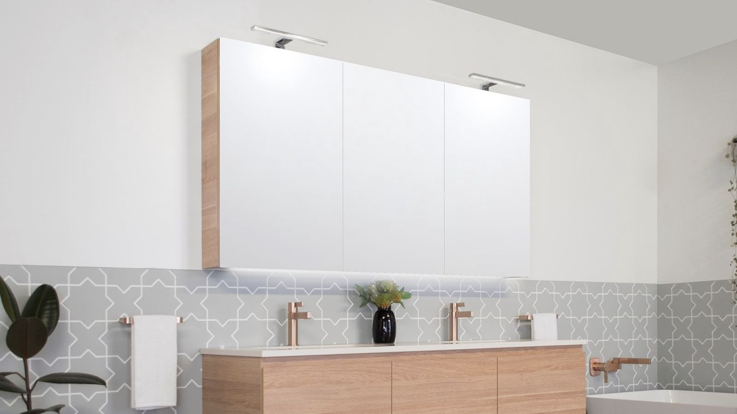 Moonlight Mirrored Cabinet