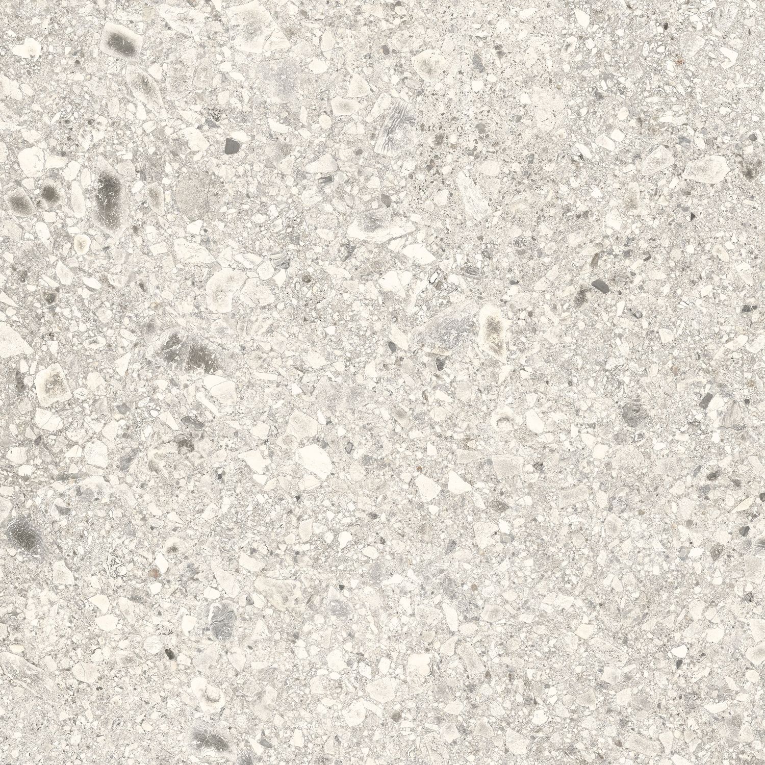 Terrazzo White Matt Rectified Box Price (1.44m2), Size: 299x600