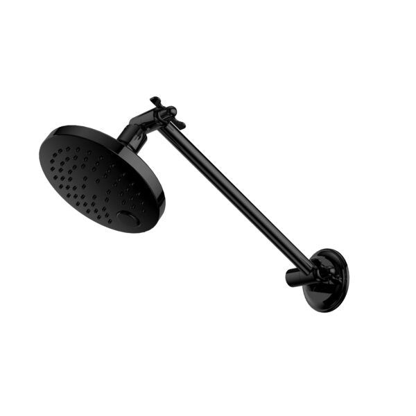 X Plus All Direction Shower Head, Finish: Matte Black