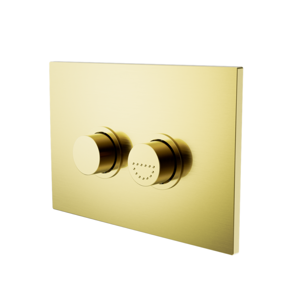 Raised Disabled Care Pneumatic Flush Buttons Plate Dda Compliant, Finish: Brushed Gold
