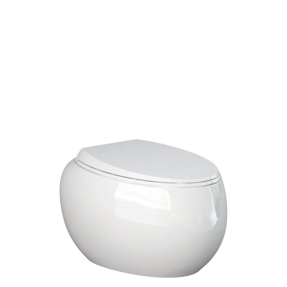 RAK CLOUD Wall Hung Toilet Pan and Seat, Finish: Gloss White