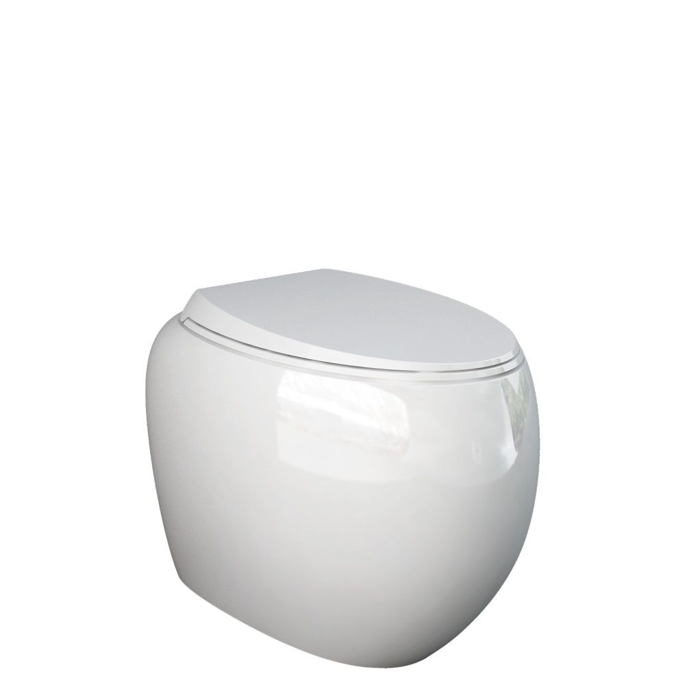 RAK Cloud Wall-Faced Toilet Suite