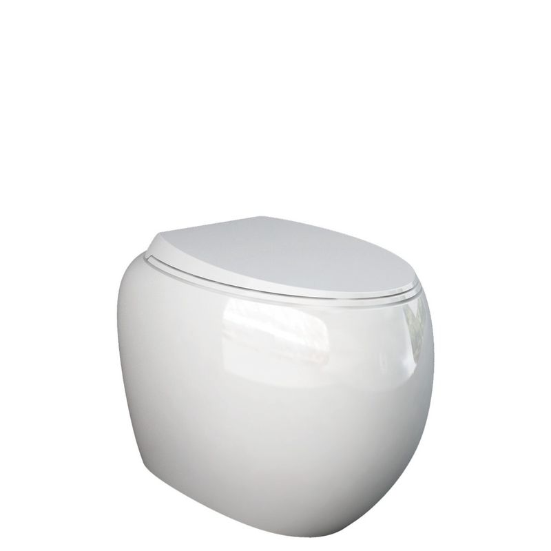 RAK Cloud Wall-Faced Toilet Suite