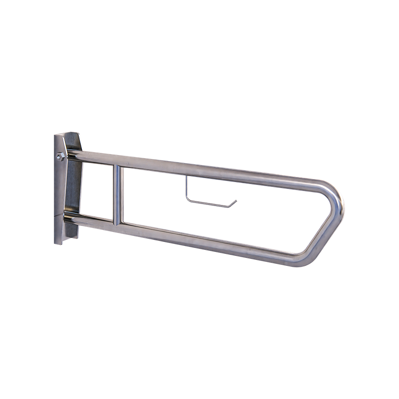 Drop Down Grab Rail &amp; Toilet Roll Holder