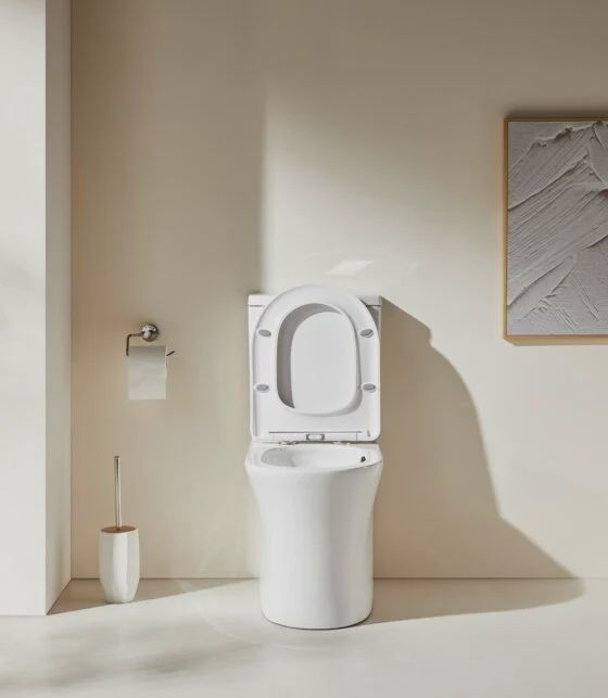 Daytona Tornado Rimless Toilet Suite