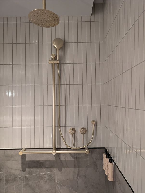 Mecca Care 32MM T Bar Grab Rail And Adjustable Shower Set 1100X750MM
