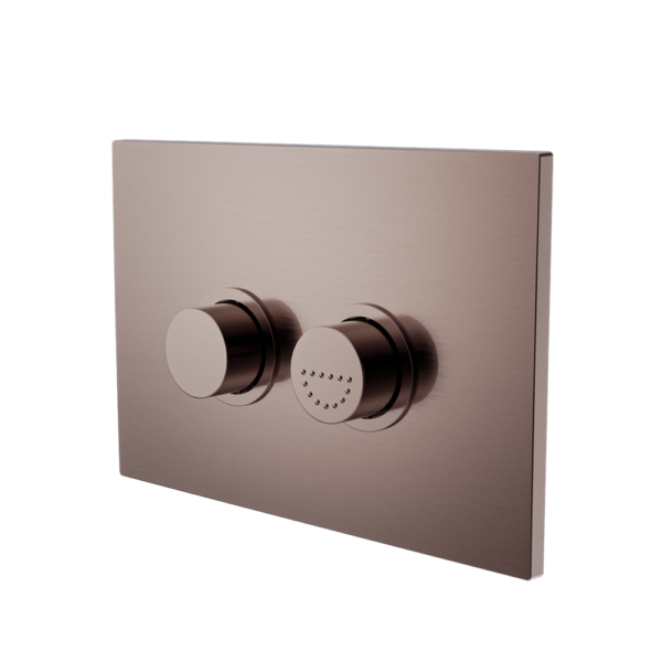 Raised Disabled Care Pneumatic Flush Buttons Plate Dda Compliant