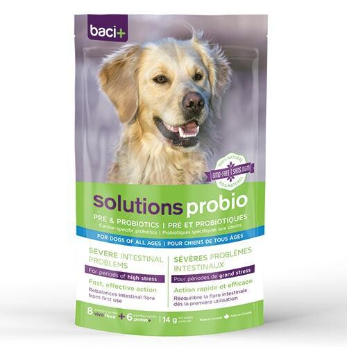 BACI+ – Solution Pré/Probiotiques pour chien