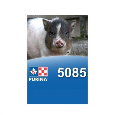 PURINA – Cochon Vietnamien (Mini Pig) 22.68 kg