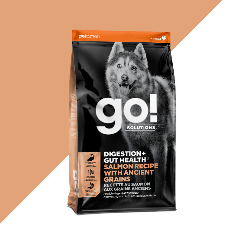GO! – Digeston + Gut Health Saumon et grains anciens pour chien