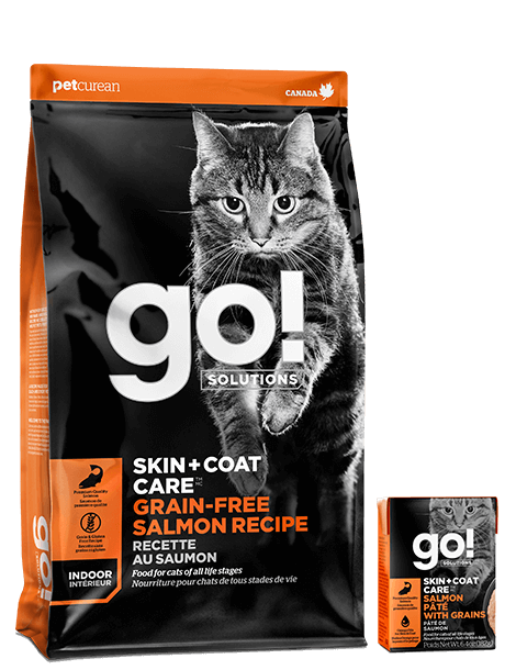 GO! – Formule Skin+Coat Saumon pour chat