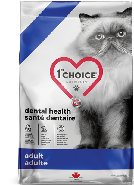 1ST CHOICE Nourriture sèche – Formule Santé dentaire Adulte (1 ans et +) pour chat