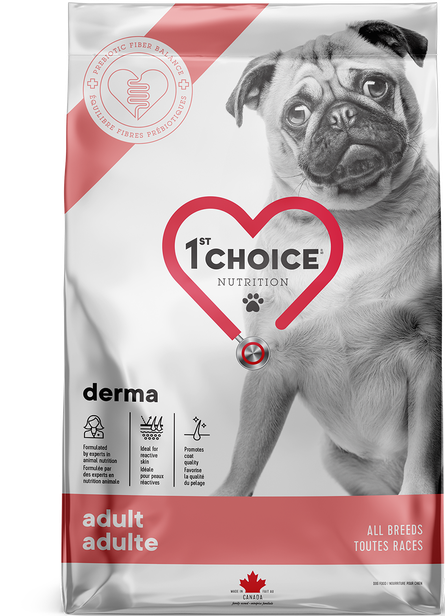 1ST CHOICE Nourriture sèche – Formule Derma Toutes races Adulte (1 an +) pour chien