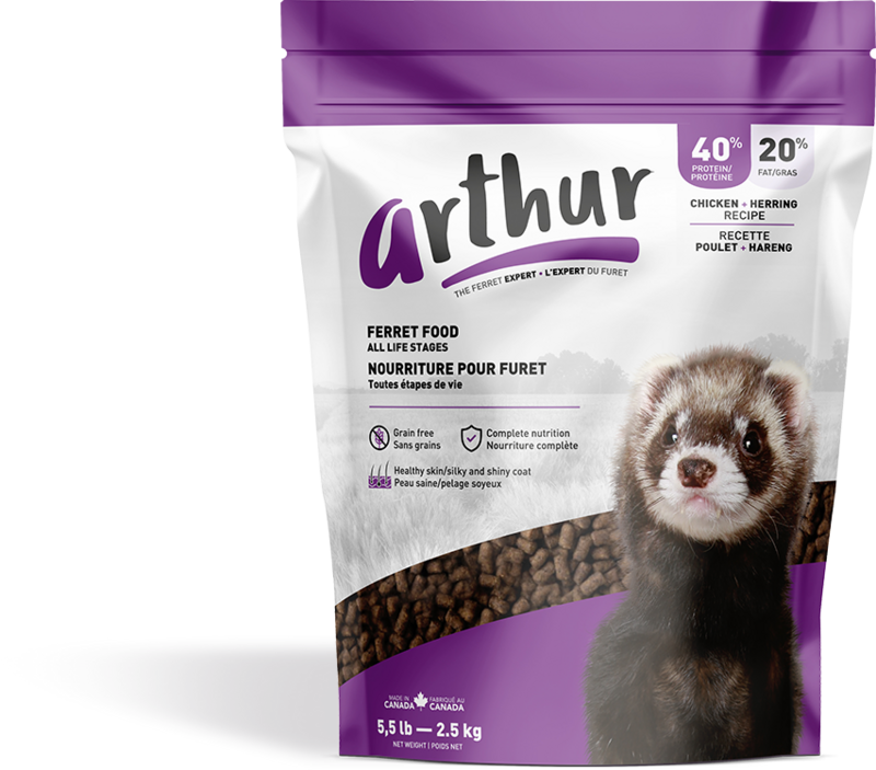 ARTHUR – Nourriture pour Furet