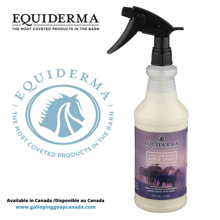 Pâte à L'oxyde De Zinc Equiderma - Soin Pour Chevaux - 32 Oz (946 Ml) - NEUF