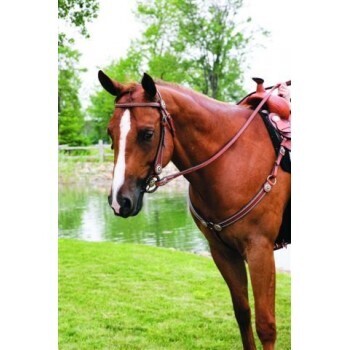 SIERRA BROW SHOW HEADSTALL WITH SPOTS &amp; ROSETTES, SOFTCHESTNUT
