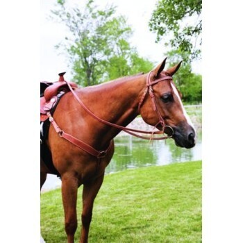 SIERRA DOUBLE &amp; STITCHED HARNESS BROW HEADSTALL