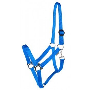 CAVALIER ECONOMY HALTER