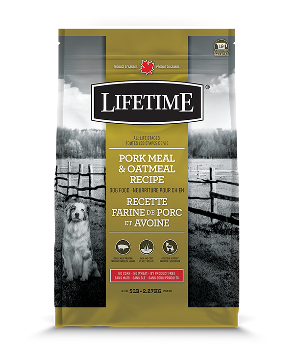 LIFETIME Nourriture sèche – Porc et Avoine pour chien 11.4 KG