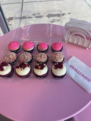 Dozen Medium Sized Variety Pack