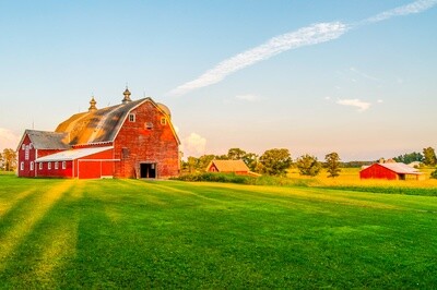 Down on the Farm (July 17-21)