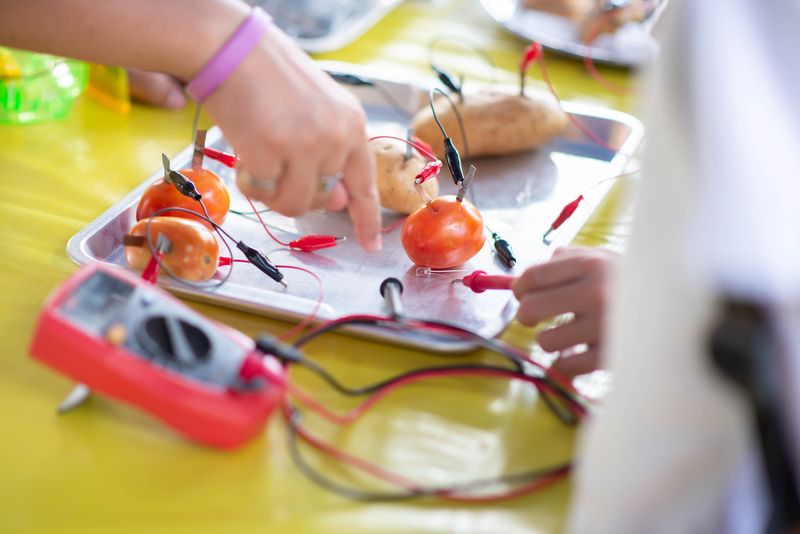 Science Academy (August 17-21)