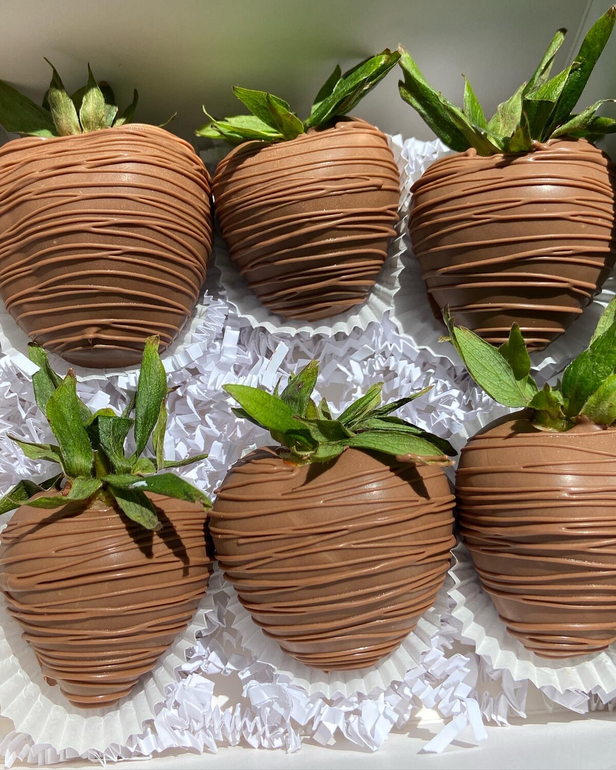 Milk Chocolate Strawberries (6)