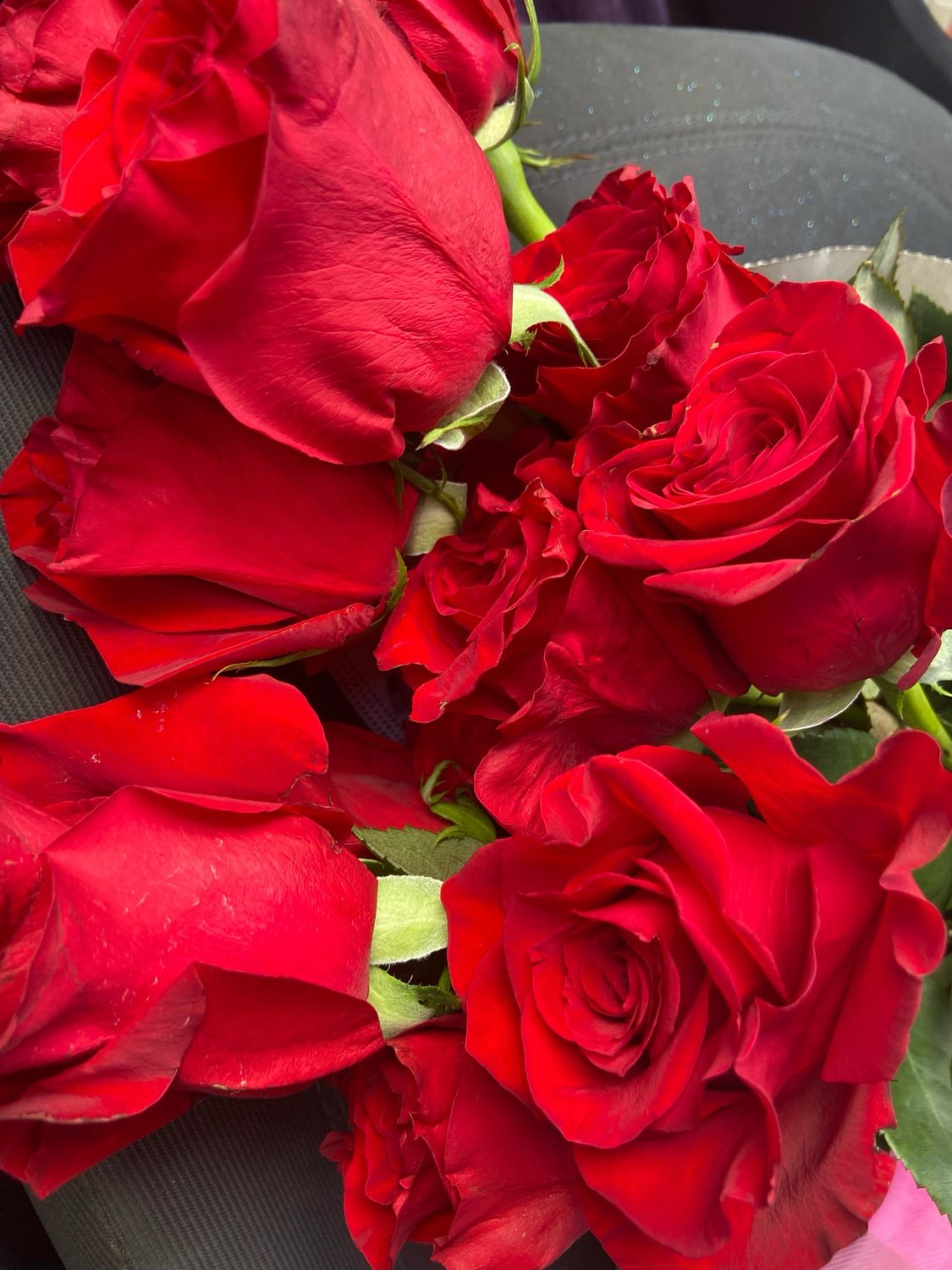 Single Rose