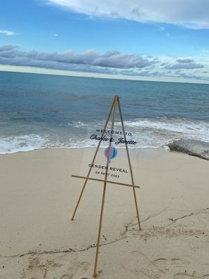 Baby Shower Welcome Sign : Clear