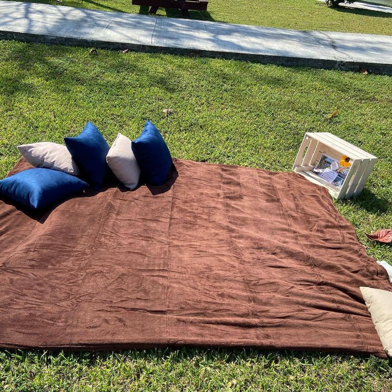 Picnic Blanket with Pillows