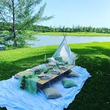 The Pretty Picnic Setup