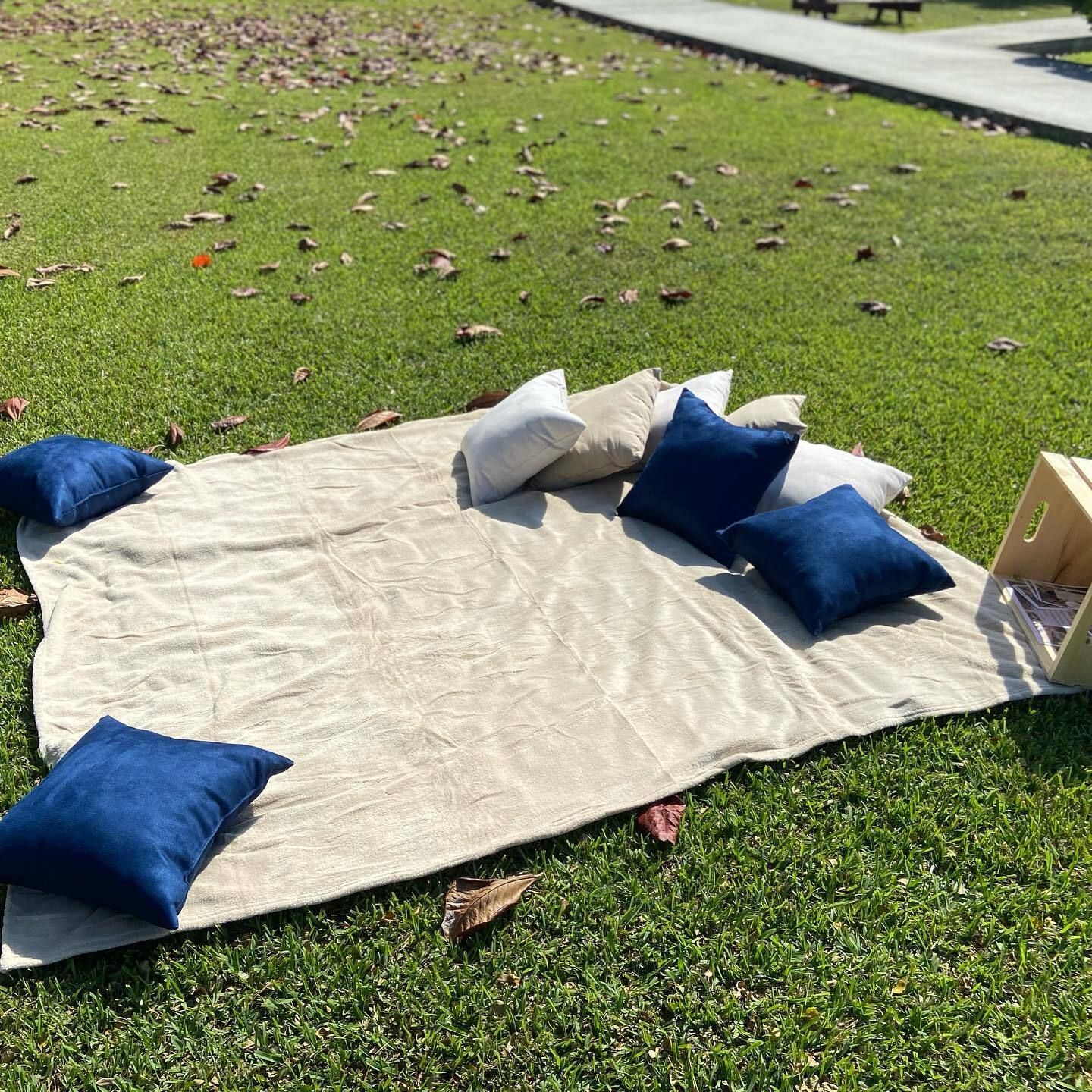 Picnic Blanket with Pillows
