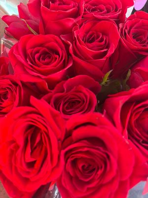 1dz Fresh Roses