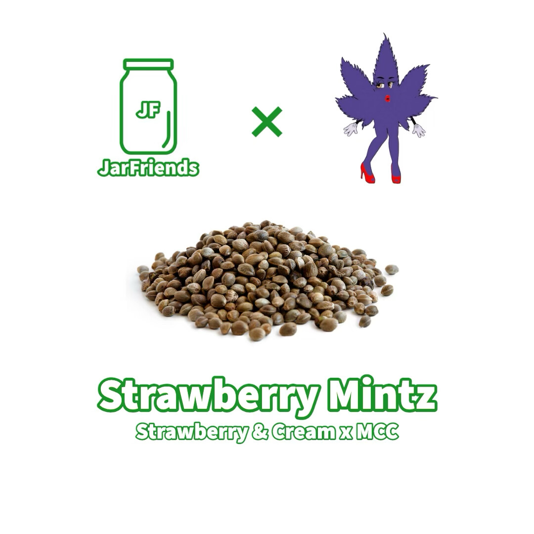 Strawberry Mintz Seeds
