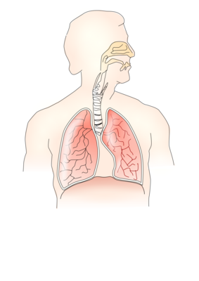 Respiratory Support