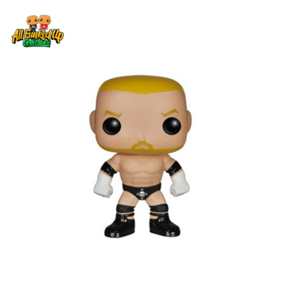 Triple H 09 WWE