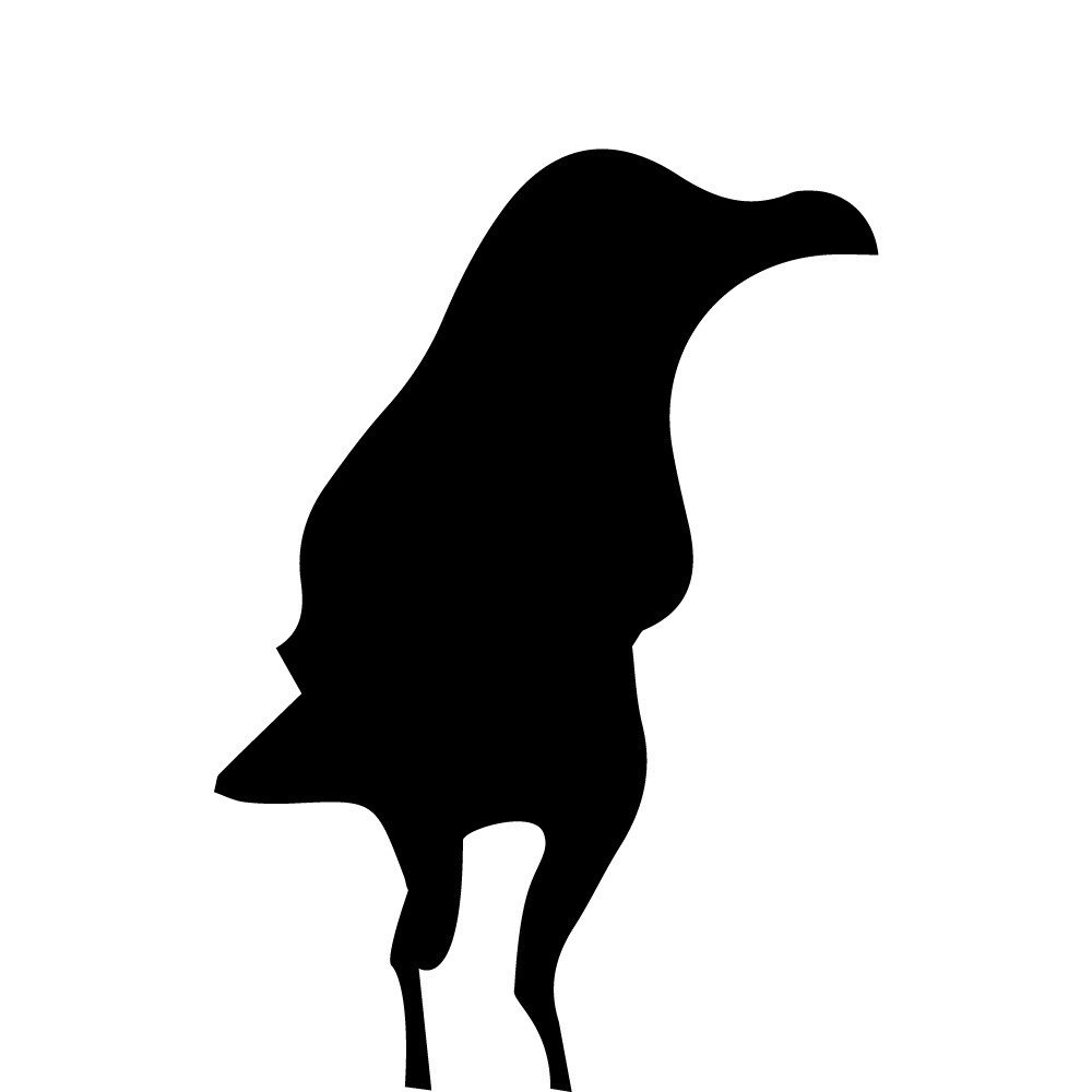 CROW | CANVAS | ILLUSTRATION | 1:1 RATIO
