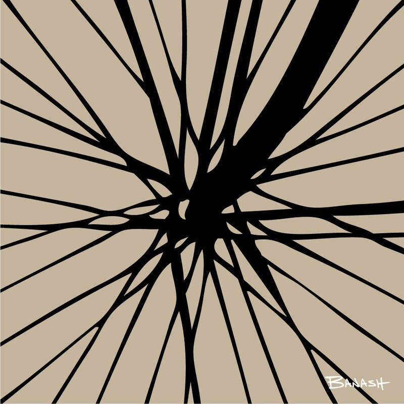 SCHWINN AUTOCYCLE . FORK SPOKES | LOOSE PRINT | ILLUSTRATION | 1:1 RATIO