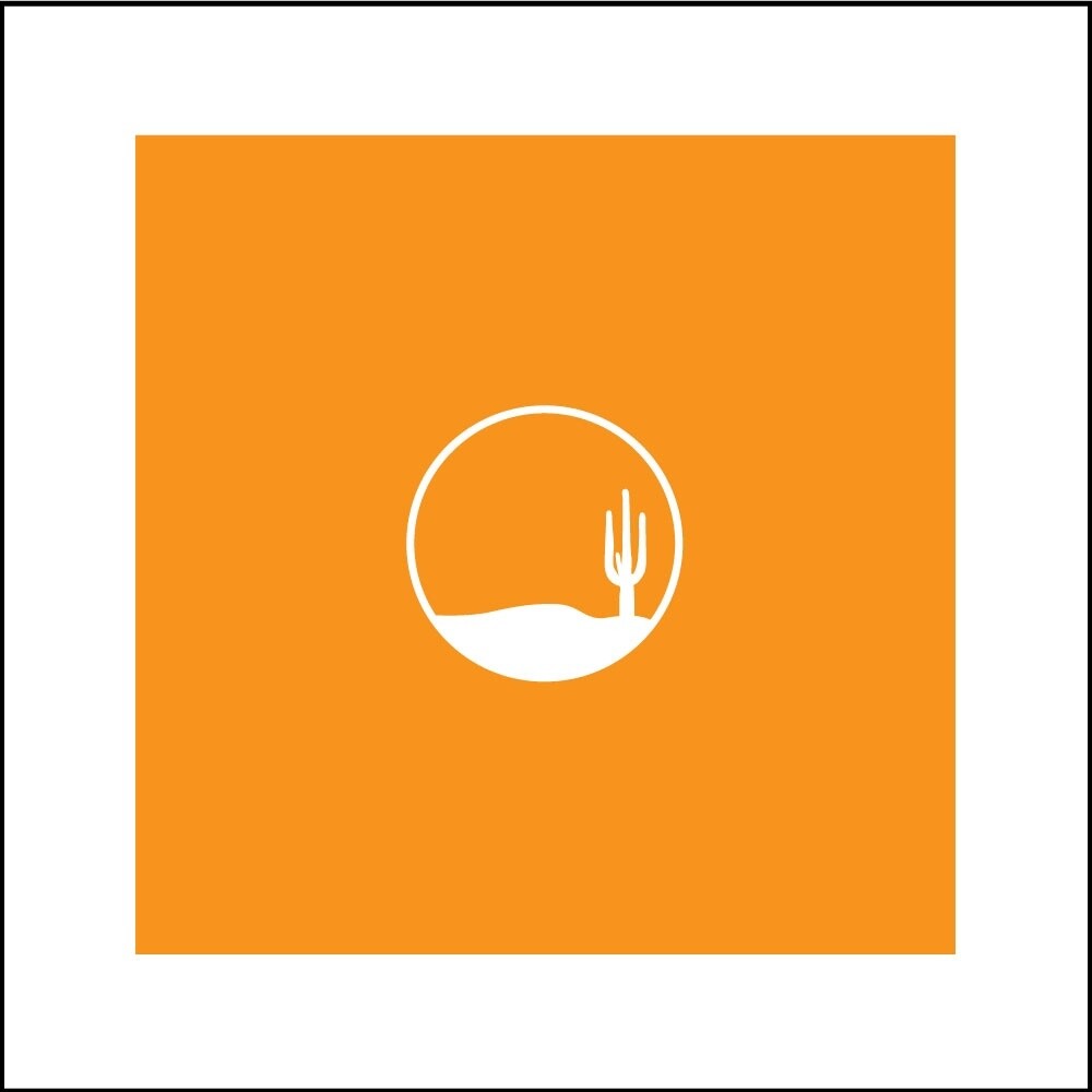 DUNE . CACTUS . COLOR SERIES | CANVAS | ILLUSTRATION | 1:1 RATIO, Size: 12x12, COLOR: ORANGE