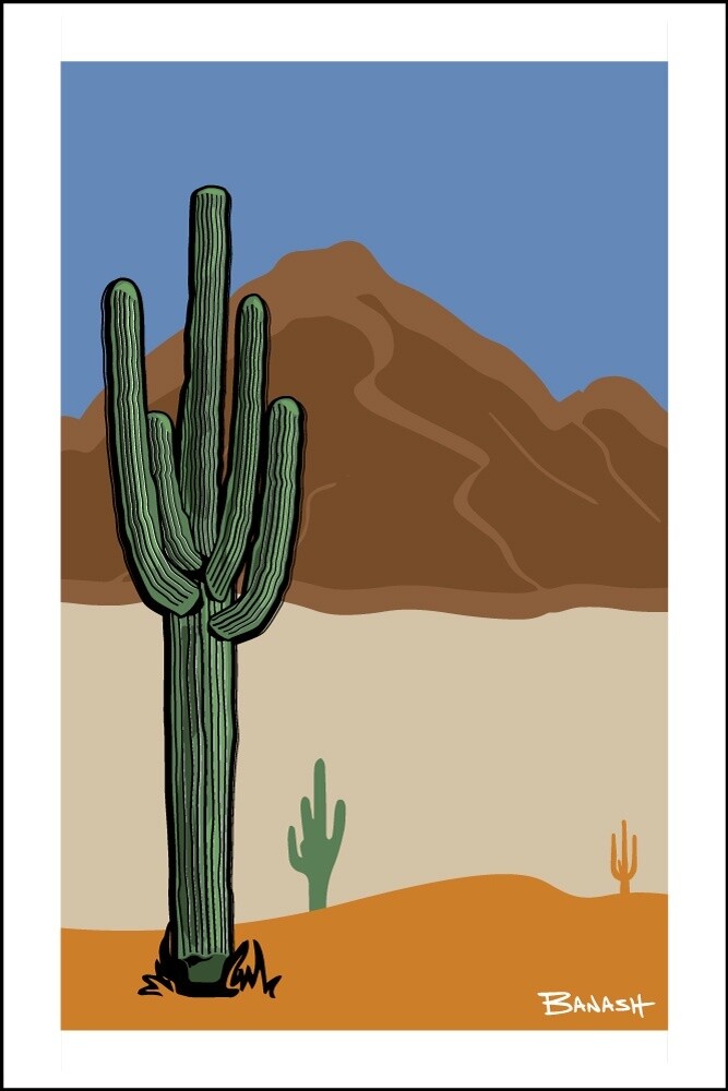 SAGUARO . CAMELBACK | CANVAS | ILLUSTRATION | 2:3 RATIO